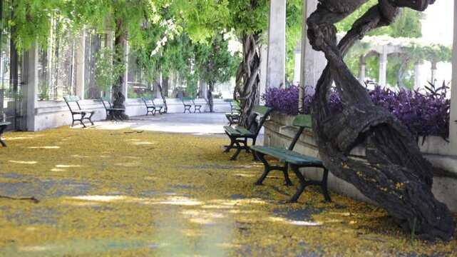 Parque en Primavera