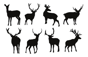 Deer silhouettes Illustration Set, Black and White Silhouettes. Collection of Different Deer Poses, Perfect for Logo, Design, and More.