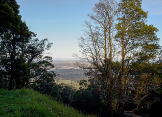 Obraz premium landscape shot of flora and fauna in the forest