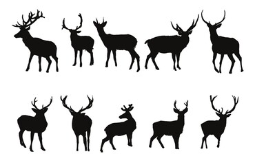 Deer silhouettes Illustration Set, Black and White Silhouettes. Collection of Different Deer Poses, Perfect for Logo, Design, and More.