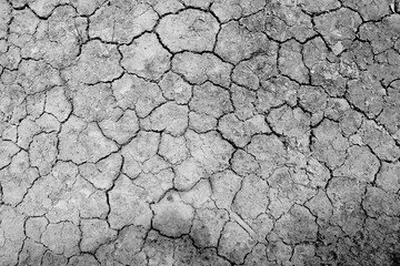 Crack ground grey texture , drought season natural background