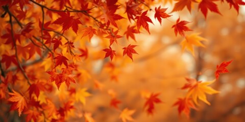 A close-up view of vibrant red and orange leaves on a branch, with a soft, out-of-focus background of similar colors. The foliage creates a natural, artistic backdrop for fall themes.