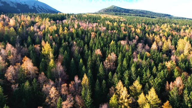 drone flight over tourist area mountains forest autumn Karpacz Poland
