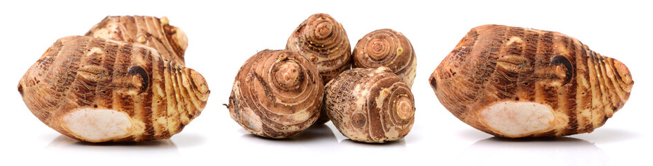 Taro on a white background