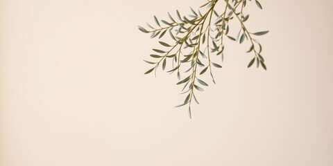 Obraz premium A delicate branch of green leaves against a soft, cream-colored backdrop, showcasing a minimalist and natural aesthetic.