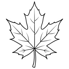 leaf, maple leaf, leaf design, vector leaves, leaf symbols, vector illustration