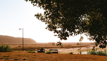 Golden sunlight illuminates a tranquil park scene in vila nova de gaia, portugal, where a senior man sits on a bench, framed by a tree and overlooking a serene landscape. Nature Reserve