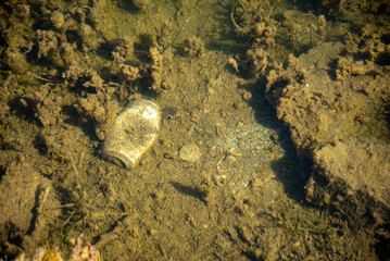 An aluminum can half buried in the mud at the bottom of a lagoon