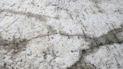 Background of cracked gray paving and wet with liquid