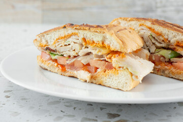 A view of a chipotle turkey sandwich.