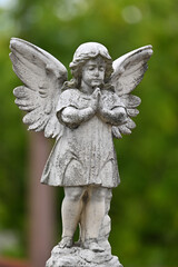Portrait of predominantly white stone sculpture or statue of a cherub, or an angel, with its hands clasped together in prayer, in a cemetery