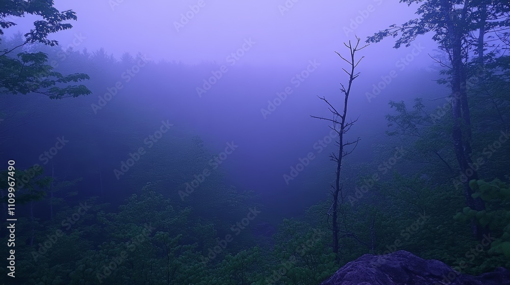 Poster a lone tree stands tall against a backdrop of dense fog and forest, creating an ethereal and mysteri