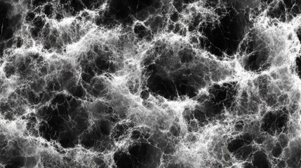 Abstract Black and White Veined Texture