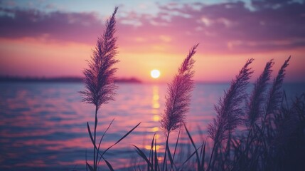 Silhouetted grass against a vibrant sunset over a calm body of water.
