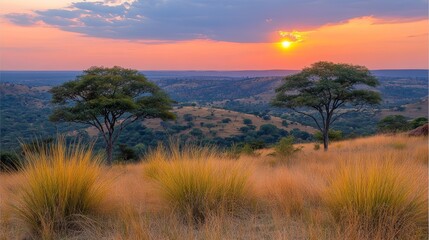 Two trees stand silhouetted against a vibrant sunset over rolling hills and a grassy savanna.