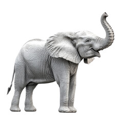 Obraz premium A majestic elephant stands proudly, showcasing its strength and grace. This magnificent creature symbolizes wisdom and the beauty of wildlife conservation.