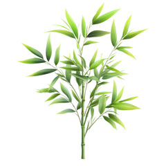 Fototapeta premium A vibrant bamboo plant showcasing lush green leaves, symbolizing growth, flexibility, and resilience in nature's design.