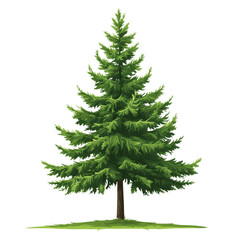 Obraz premium A vibrant green spruce tree stands tall, showcasing its lush branches and symmetrical shape. Perfect for nature-themed projects and illustrations.