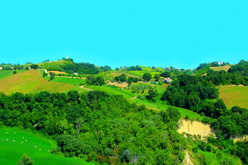 Pleasant view from Castignano at a hillside with various shades of green, agricultural...