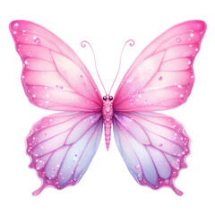 Beautiful butterfly isolated 