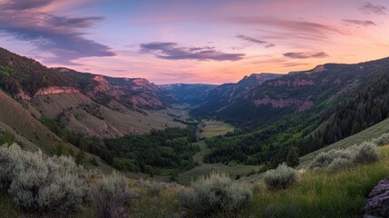 A valley with a mountain range in the background