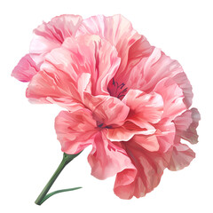 Amazing colorful picture