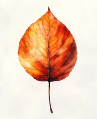 Obraz premium Autumn Leaf Watercolor Painting