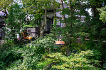 Kakko Dango Dumplings at Genbikei Gorge, Iwate, Japan