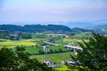 真夏の平泉の風景