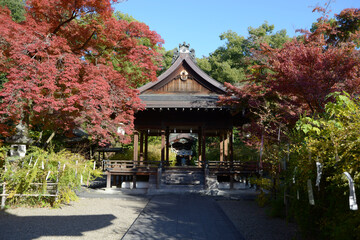 梨木神社　紅葉の拝殿　京都市上京区