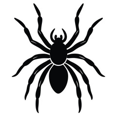 Collection of Spider Poses in Side View Vector Illustration