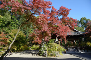 梨木神社 拝殿と紅葉 京都市上京区