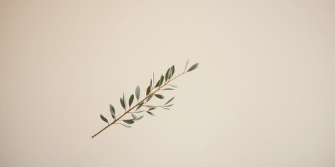 Obraz premium A single twig with delicate green leaves against a pale background, showcasing simple natural beauty.