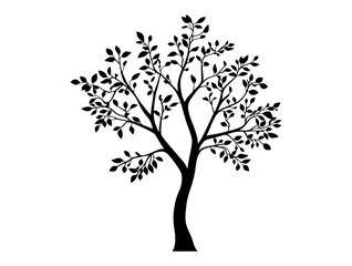 Hackberry tree silhouette vector illustration