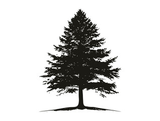 Eastern Hemlock tree silhouette vector illustration