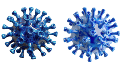 Two Distinct Perspectives of a Virus for Educational and Scientific Use