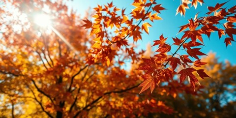 Golden hues of autumn leaves illuminated by the sun's rays, creating a vibrant and picturesque scene.