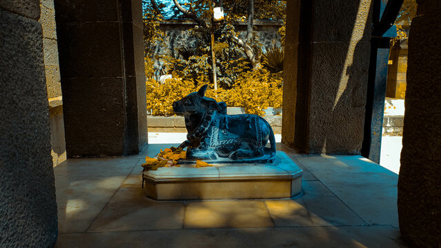 india god nandi statue at outside of the temple at tulapur in maharashtra in india.