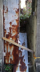 the entrance to an abandoned house