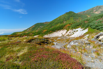 大雪山旭岳登山 裾合平のチングルマ　紅葉の日本百名山　北海道の絶景