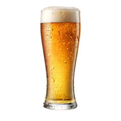 A tall glass of golden lager beer with a frothy head