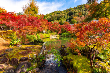 Fototapeta premium Eikando temple gardens in autumn, Kyoto, Japan