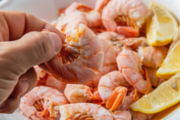 Tiger king prawns cooked and seasoned with lemon, close up in a man's fingers