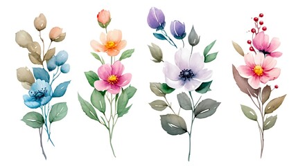 Watercolor Floral Elements Branches, Leaves, and Flowers