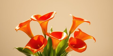 A bouquet of delicate orange calla lilies with green leaves, a captivating display of elegance and vibrancy
