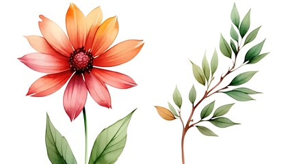 Delicate Watercolor Flower and Leaf Set with Branches on White