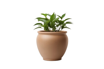 Fototapeta premium Plant clay pot isolated on transparent background. Generative ai