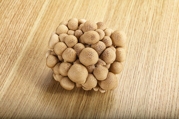 Raw asiam delicacy mushroom Shimeji