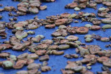 Local mushrooms in a market . 