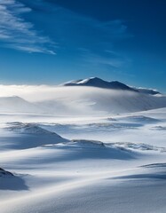 孤独な冬の平原、雪と風が広がる静寂の景色
